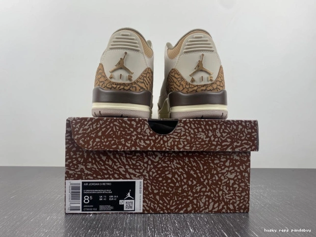 Rep Husky Jordan Palomino Air CT8532-102 3 0729